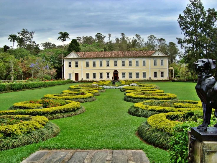 Turistas tirando fotos de ruínas de uma fazenda colonial, ilustrando o interesse crescente pelo turismo histórico.